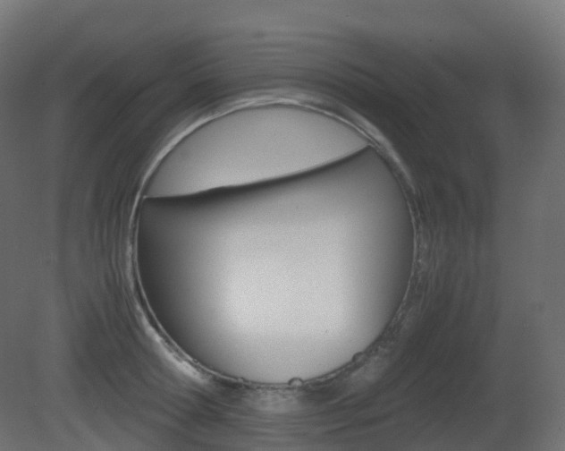 X0000081490802200701121111