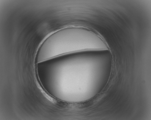 X0000081490803200701121111