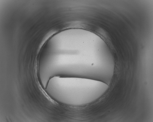 X0000081490804200701121111