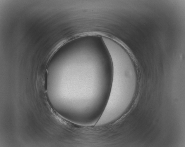 X0000081490809200701121111
