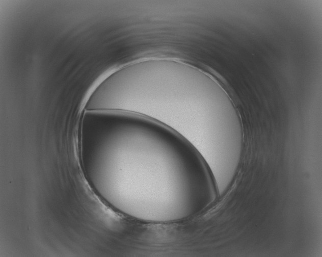 X0000081490812200701121110