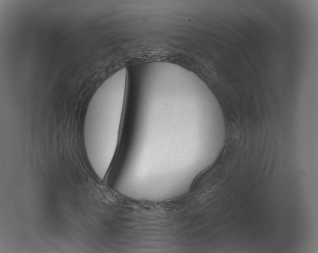 X0000081490818200701121110