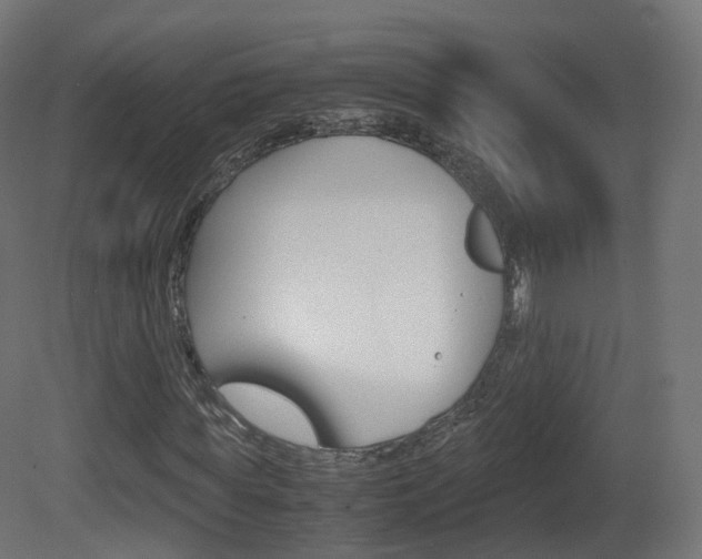 X0000081490819200701121110