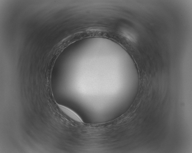 X0000081490821200701121110