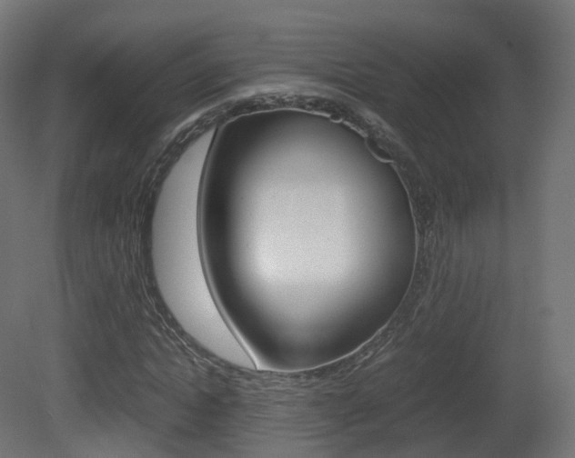 X0000081490822200701121110