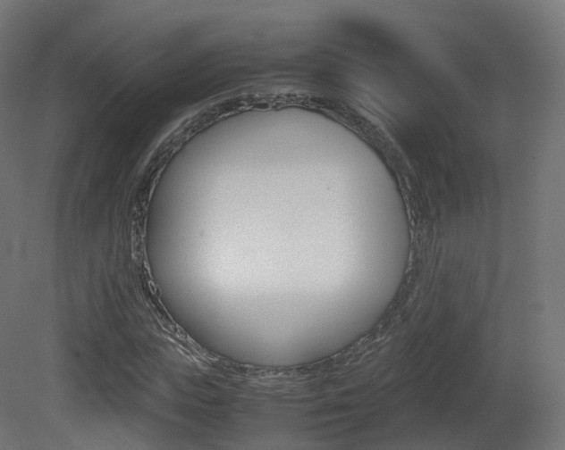 X0000081490823200701121110