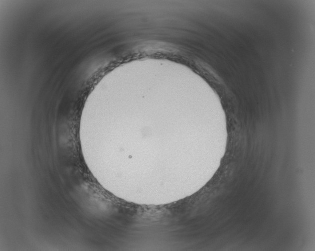 X0000081490824200701121110
