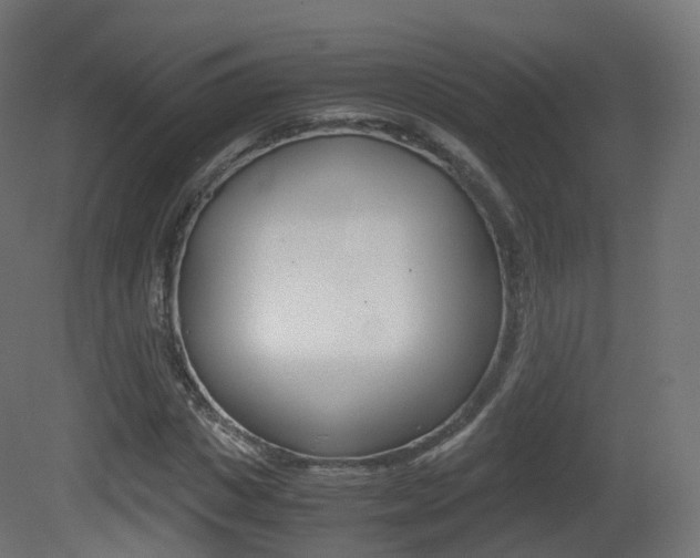 X0000081490825200701121110
