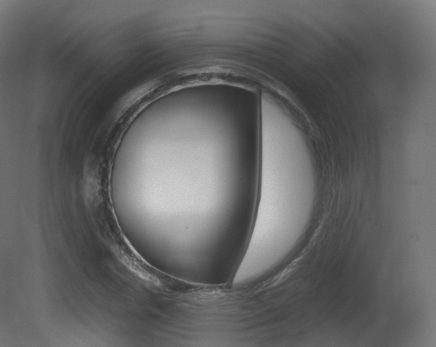 X0000081490826200701121110