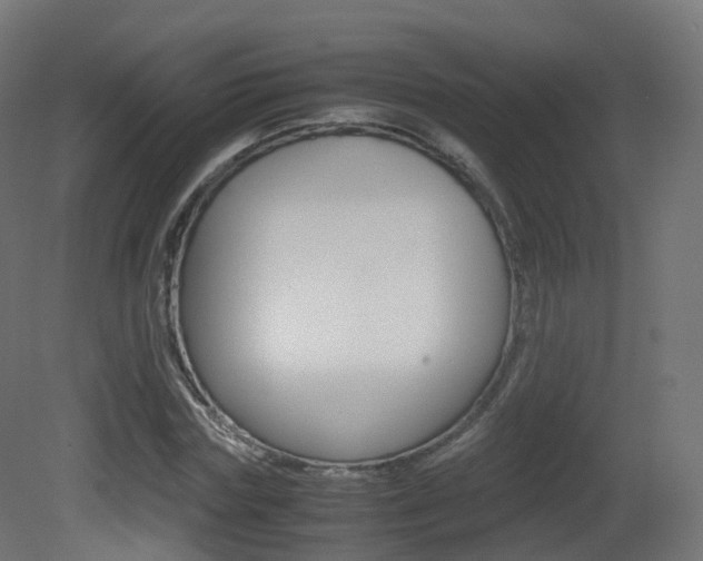 X0000081490827200701121110