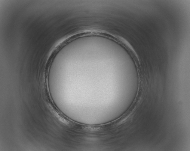 X0000081490831200701121110