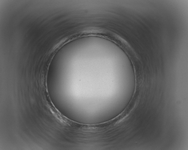 X0000081490833200701121110