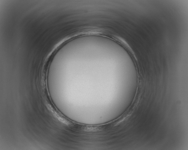 X0000081490835200701121110