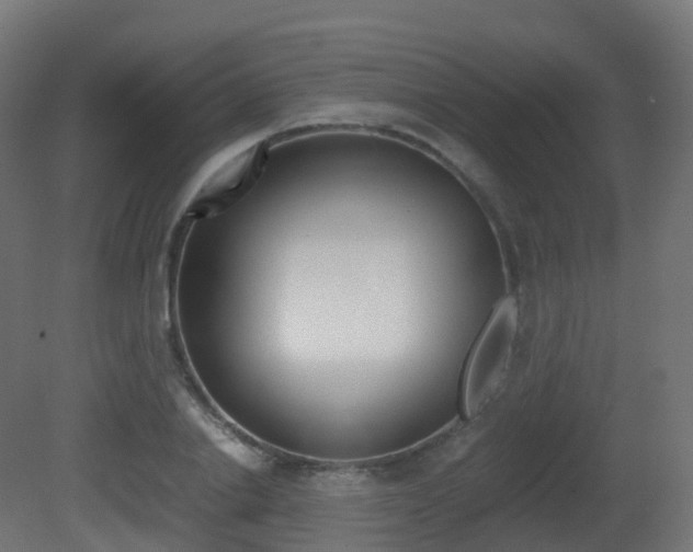 X0000081490838200701121110