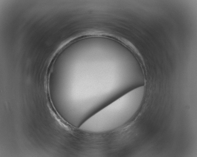X0000081490839200701121110