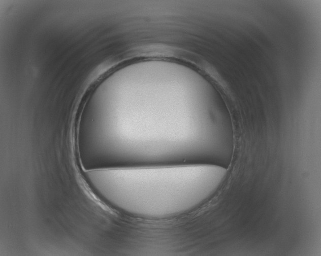 X0000081490840200701121110