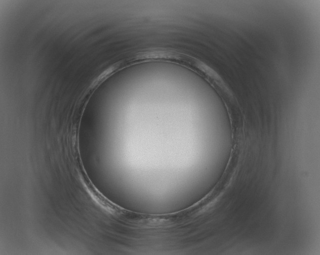X0000081490841200701121110