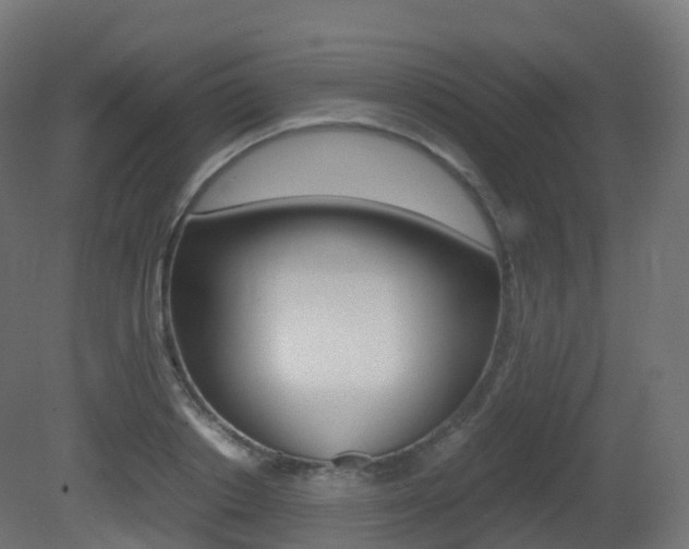 X0000081490842200701121110