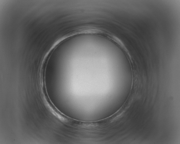 X0000081490843200701121110