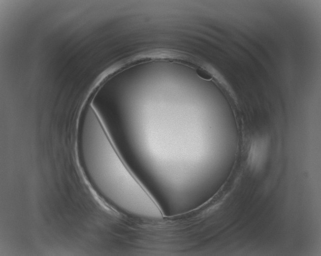 X0000081490845200701121110