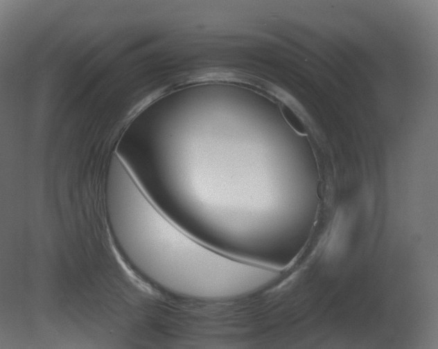 X0000081490849200701121110