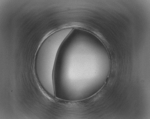 X0000081490850200701121110