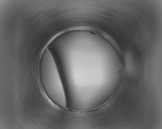 X0000081490852200701121110