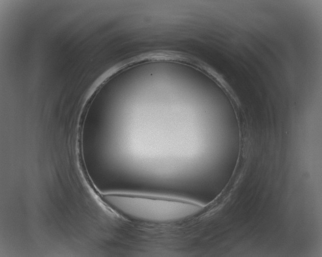 X0000081490853200701121110