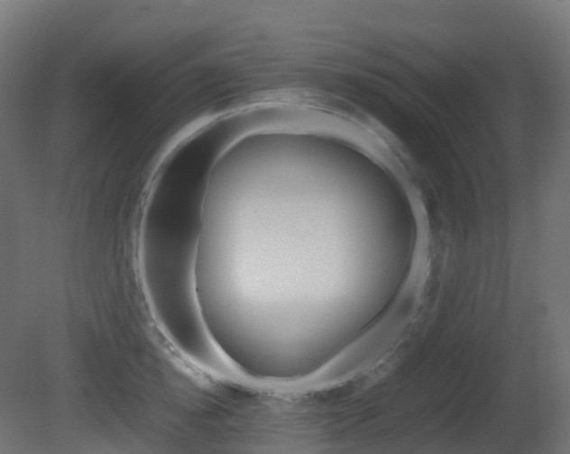 X0000081490854200701121110