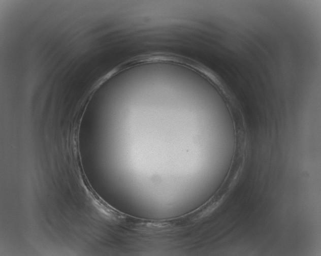 X0000081490857200701121110