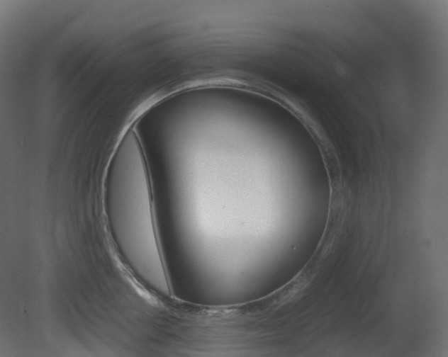 X0000081490858200701121110