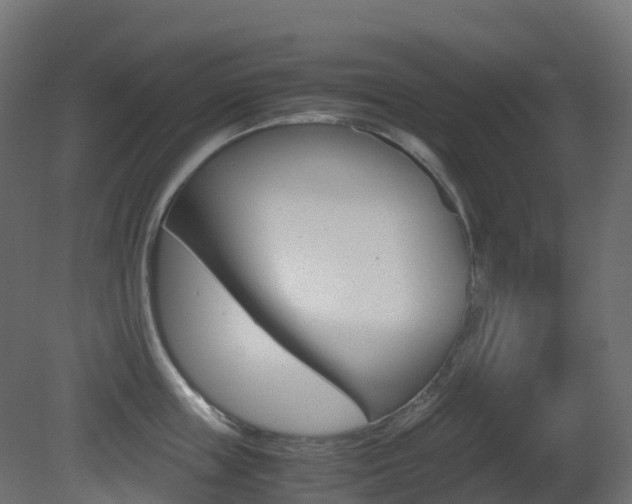 X0000081490859200701121110
