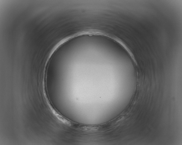 X0000081490861200701121110