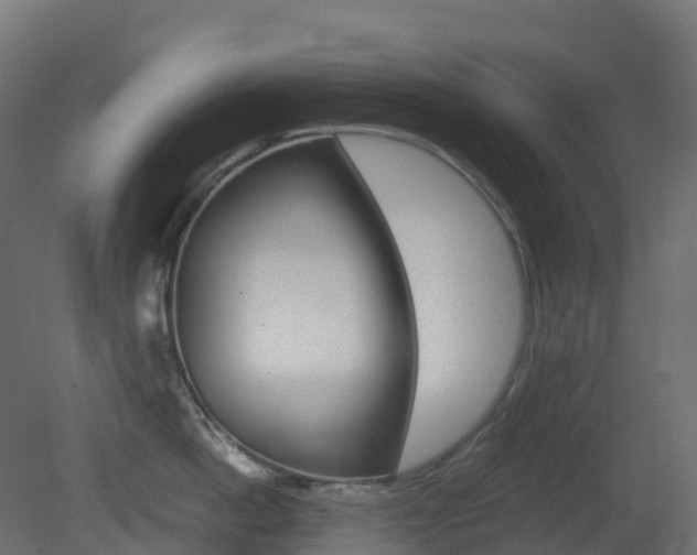 X0000081490862200701121110