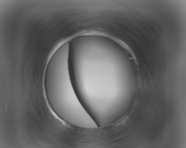X0000081490863200701121110