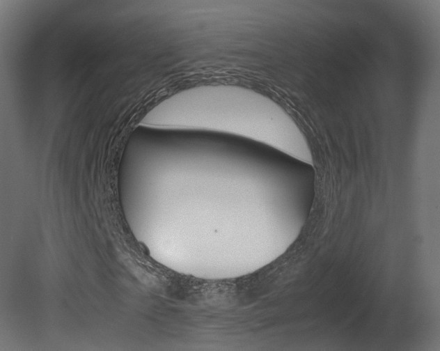 X0000081490865200701121110