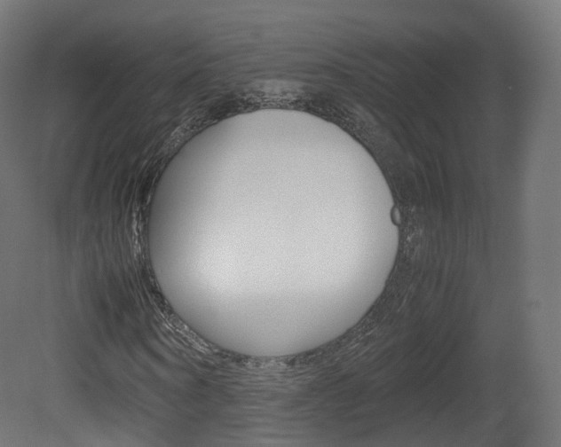 X0000081490866200701121110