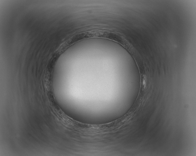 X0000081490867200701121110