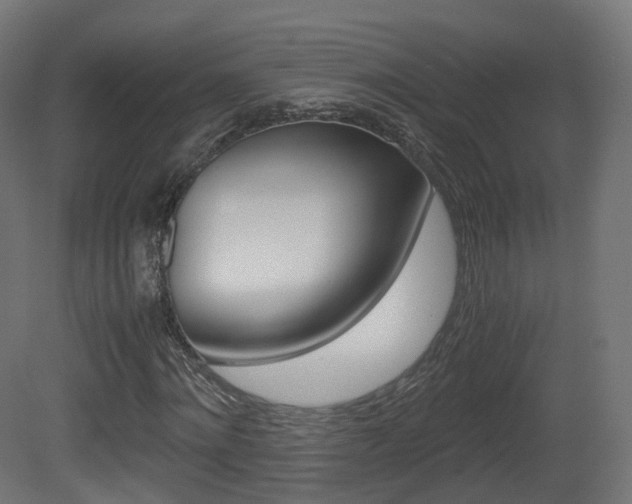 X0000081490868200701121110