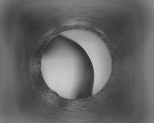 X0000081490869200701121109