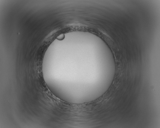 X0000081490870200701121109