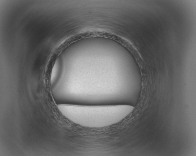 X0000081490871200701121109