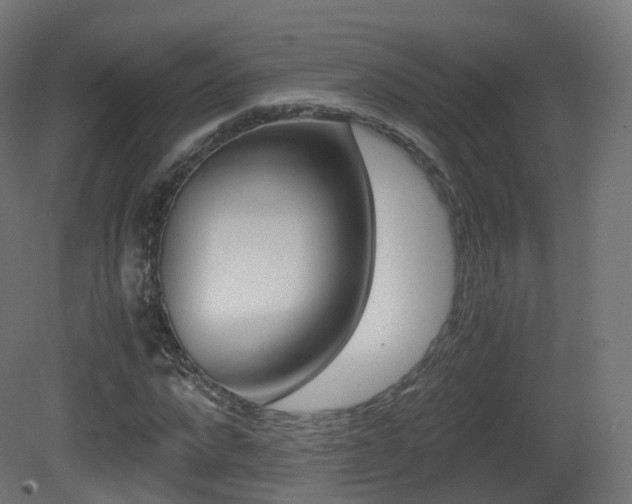 X0000081490872200701121109