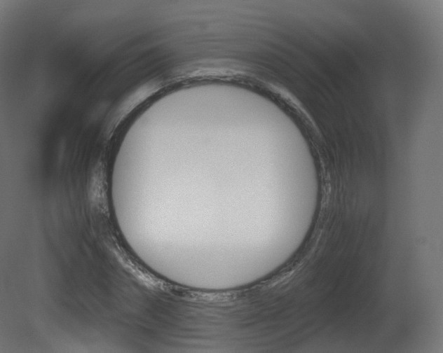 X0000081490874200701121109