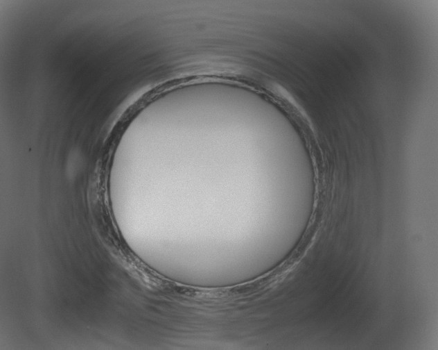 X0000081490875200701121109