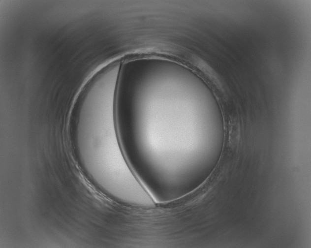 X0000081490876200701121109