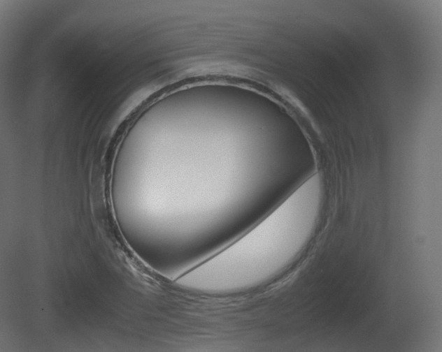 X0000081490877200701121109