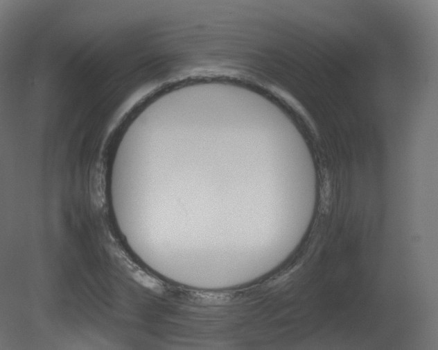 X0000081490878200701121109