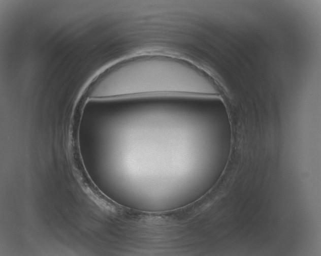 X0000081490880200701121109