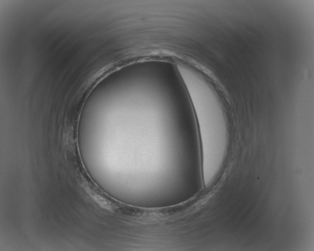 X0000081490881200701121109